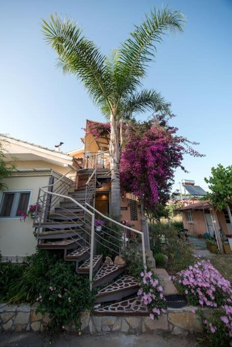 Bougainvillea House 1 Kalamata Esterno foto